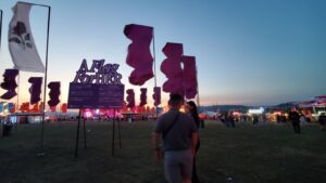 Purple flags at the Sunny Hill festival for this year’s festival’s theme “A Flag for Her”, against gender based violence. Photo: BIRN