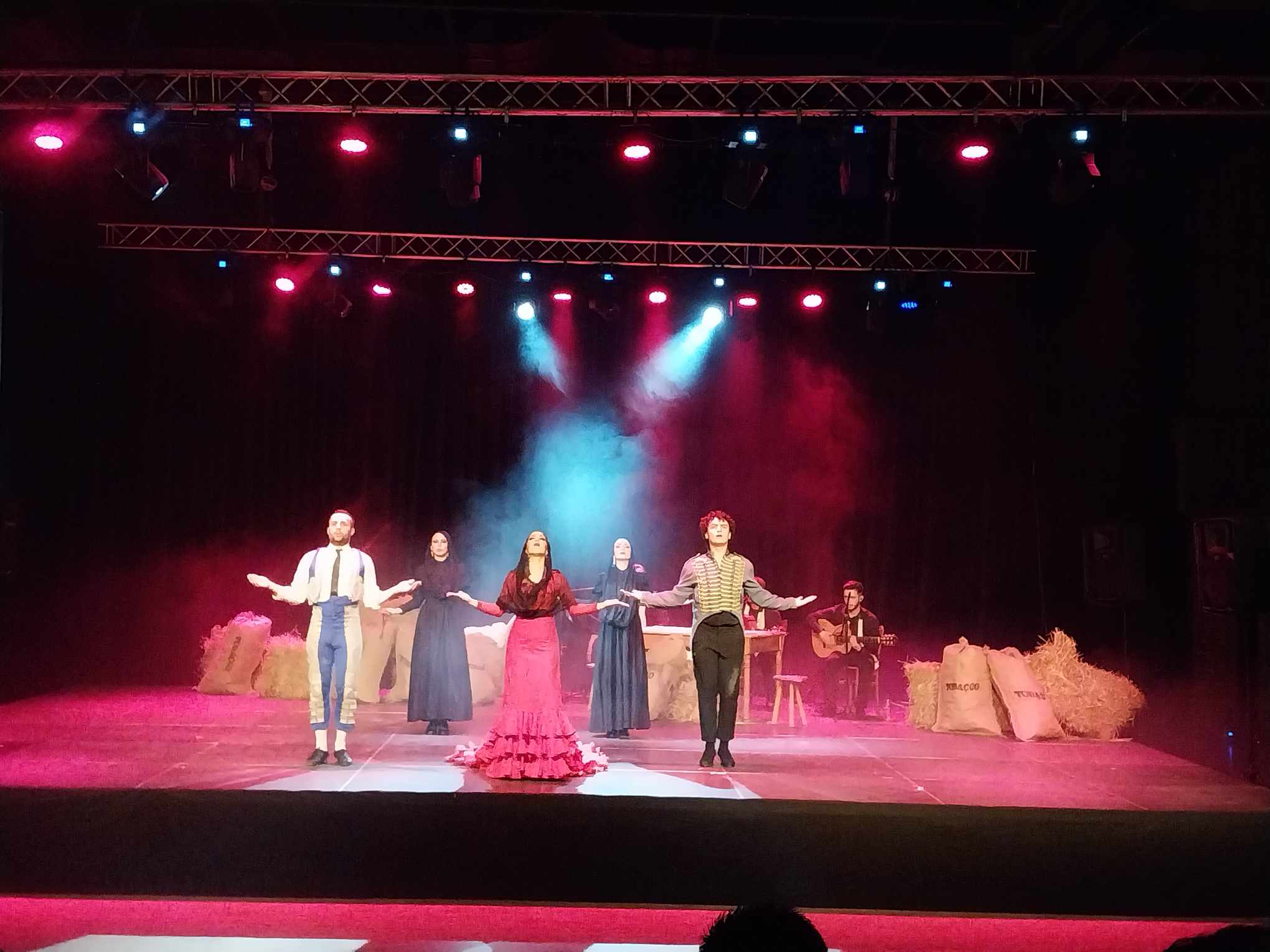 The Barcelona Flamenco Ballet "Carmen" Performance at the Opening of Femart Festival on September 25 in Prishtina. Photo: BIRN