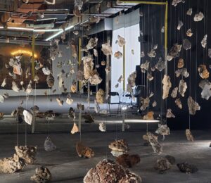 Installation about 100 years of mining at the Trepca complex at BIRN's Reporting House in Prishtina. Photo: BIRN/ Xhorxhina Bami.